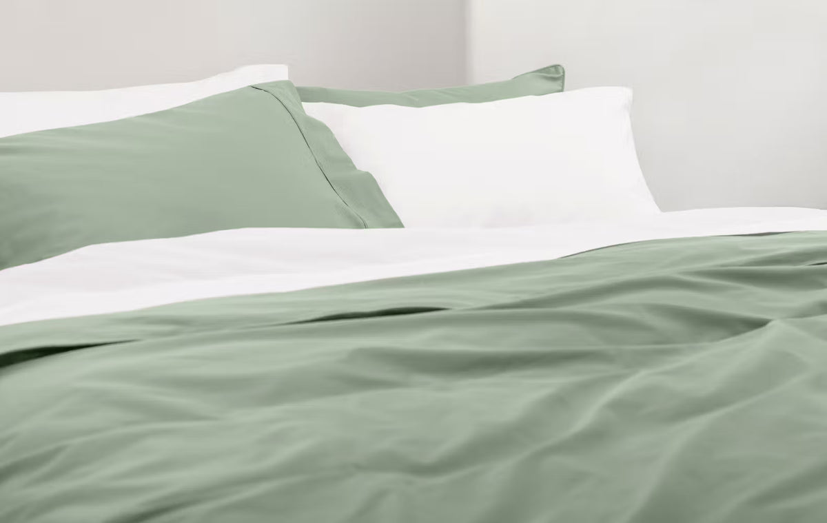 Elmira Sleep